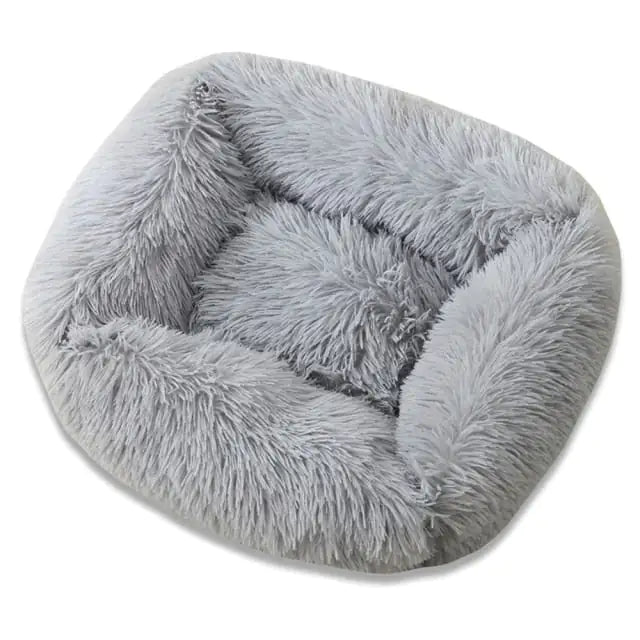 Everyday Plush Comfort Bed