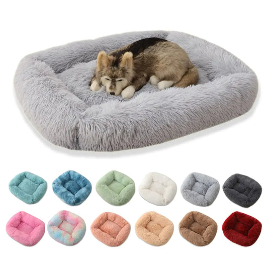 Everyday Plush Comfort Bed