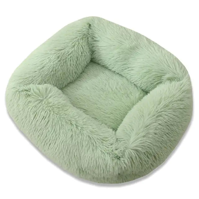 Everyday Plush Comfort Bed