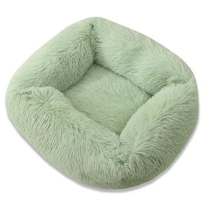 Everyday Plush Comfort Bed